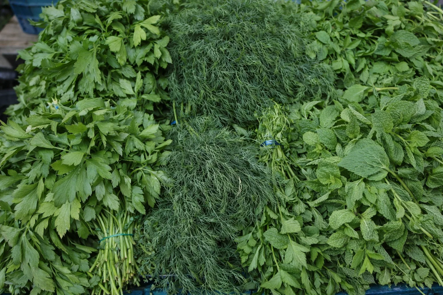 Verdețuri și ierburi aromatice