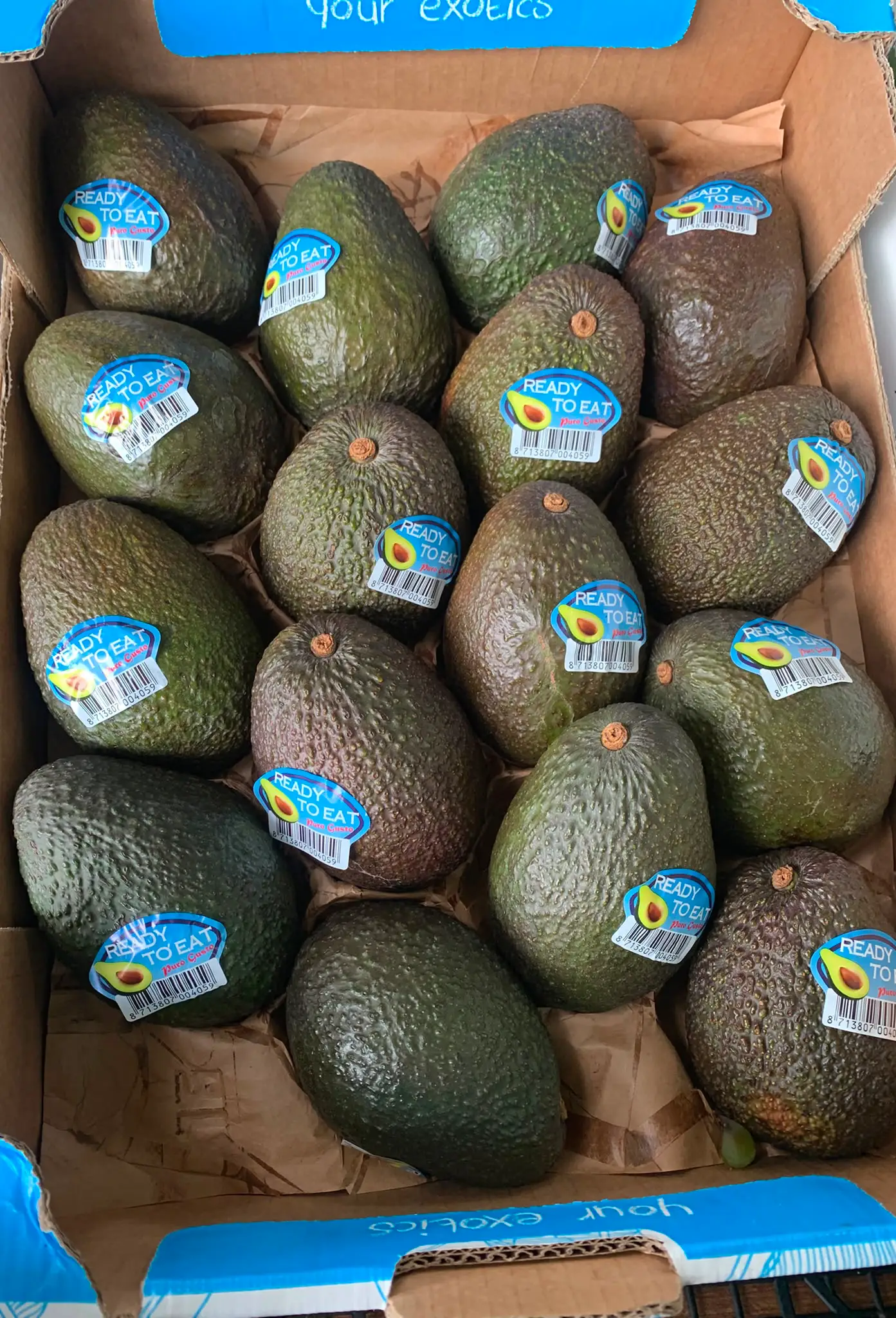 Avocado Ready to Eat