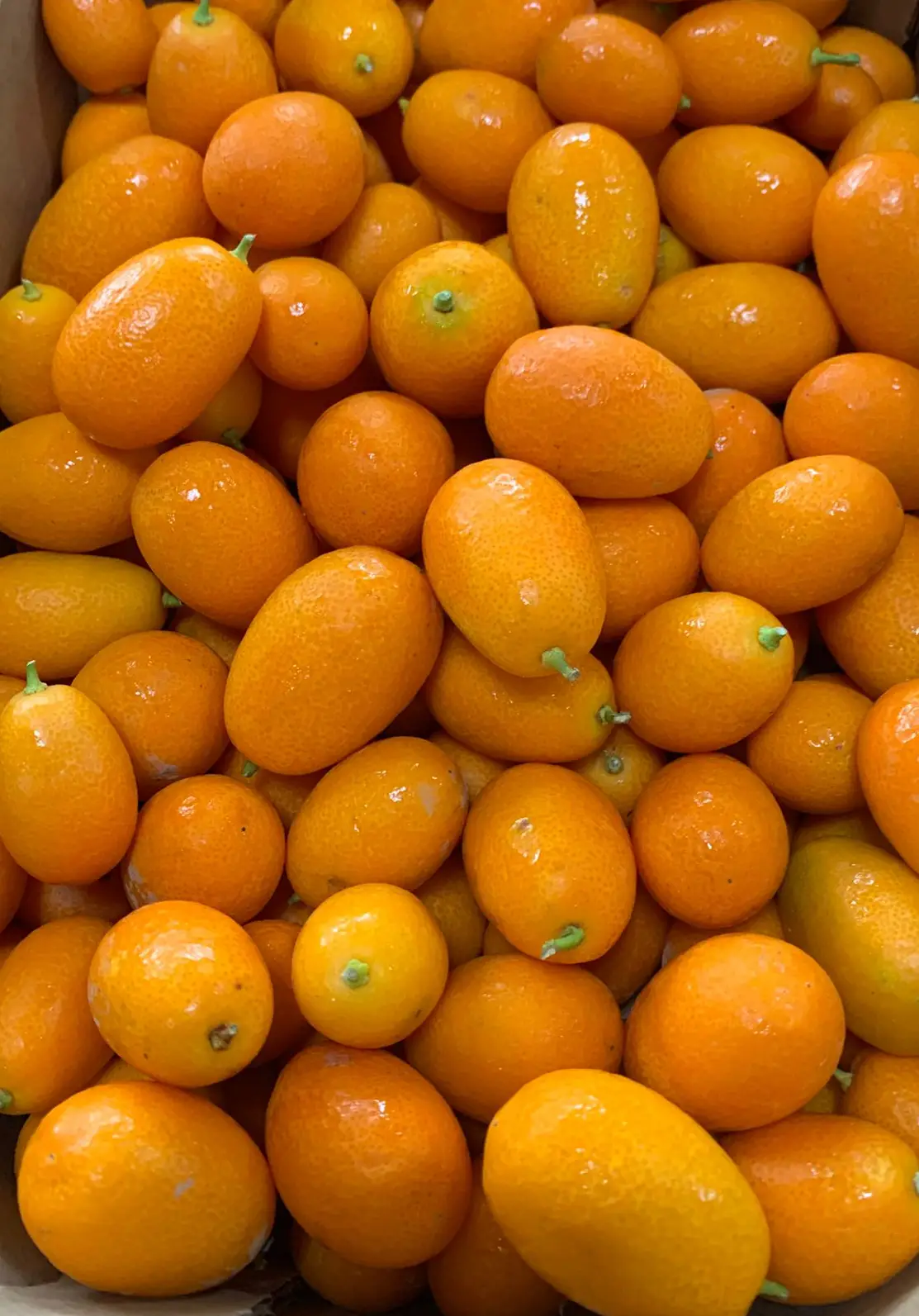 Kumquat proaspăt din Spania
