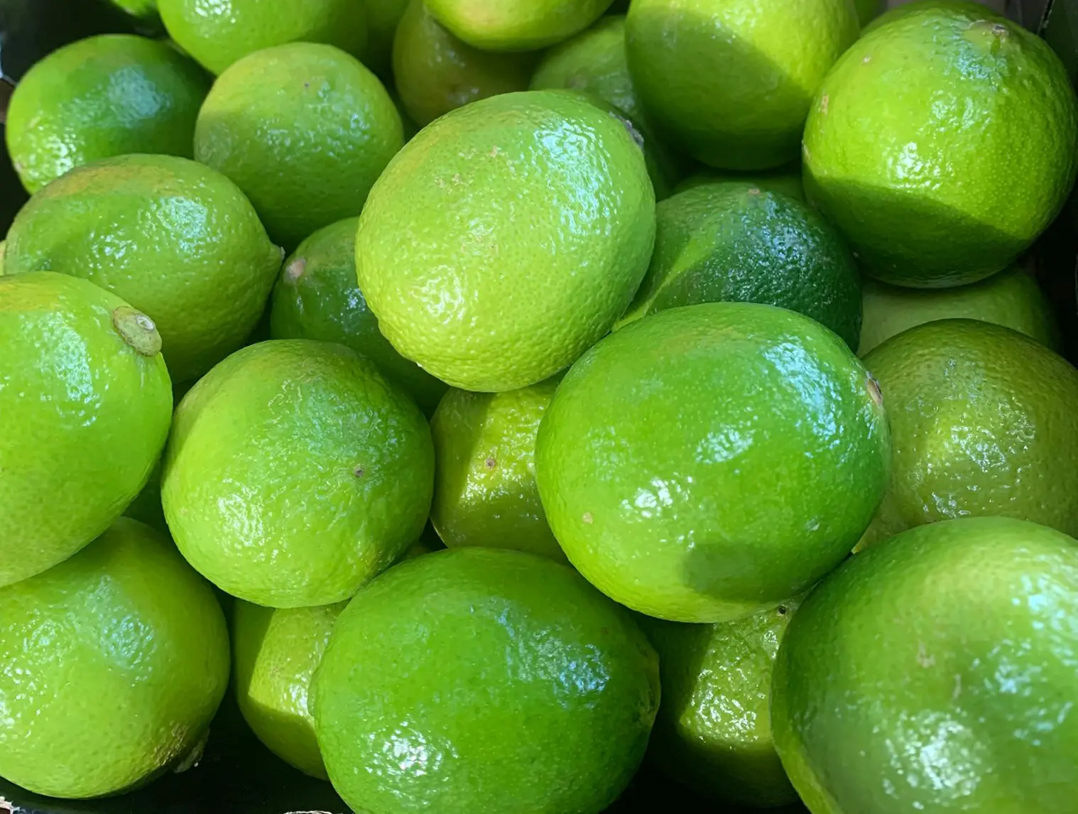 Limes