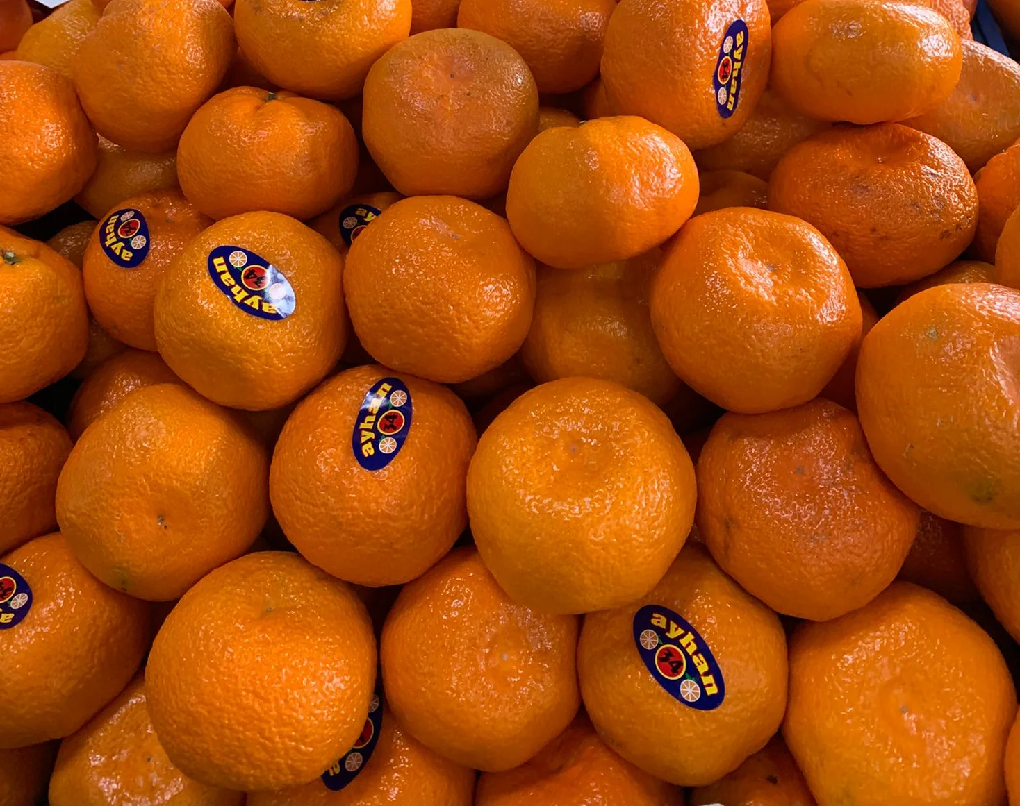 Mandarine