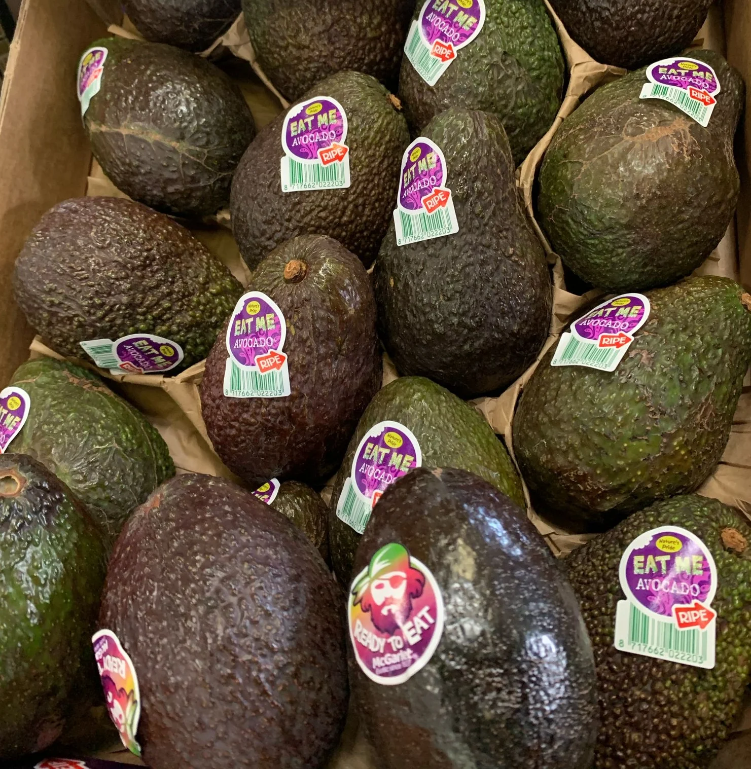 Avocado Ready to Eat