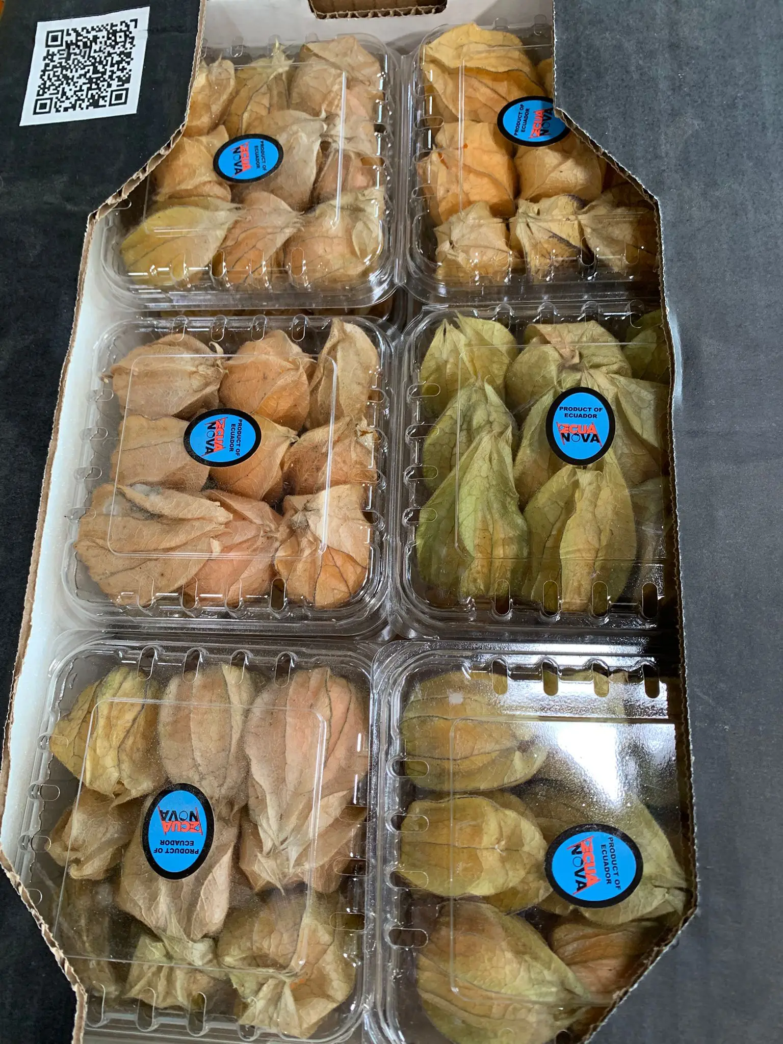 Physalis din Ecuador, fruct exotic cu gust delicat, dulce-acrișor