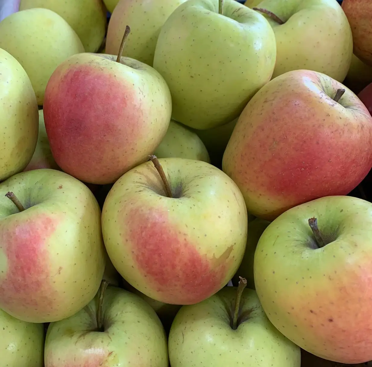 Mere Golden Rosa (Golden cu nuanță roșiatică)