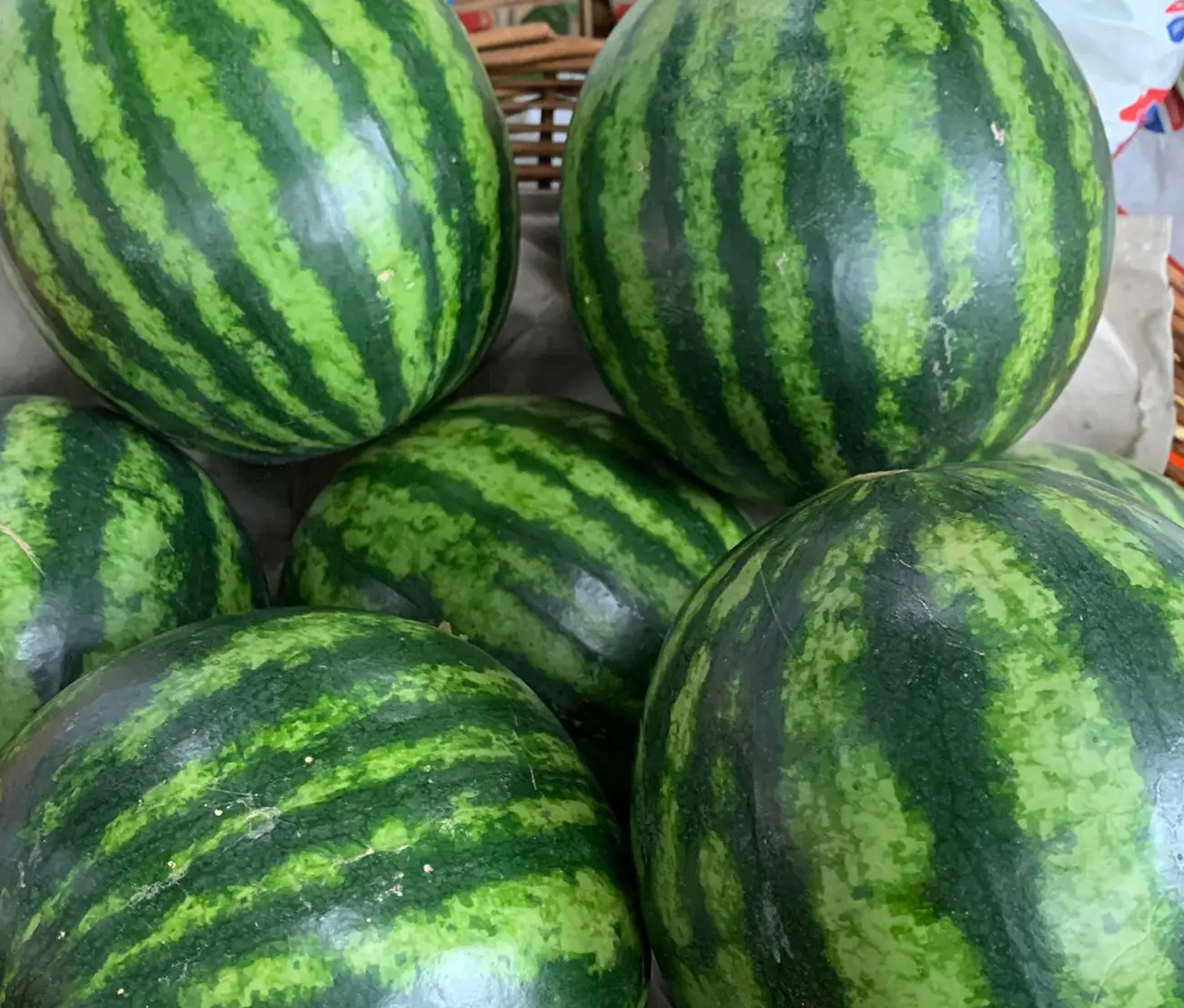 Mini pepene verde fără sâmburi