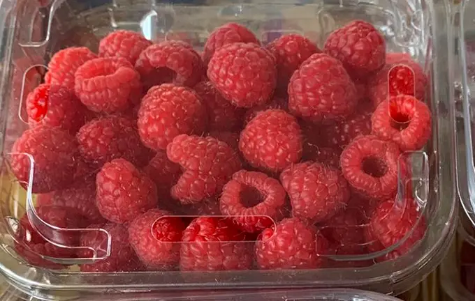 Zmeură