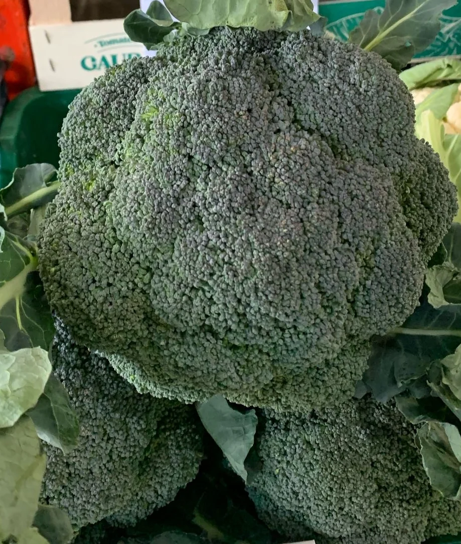 Broccoli