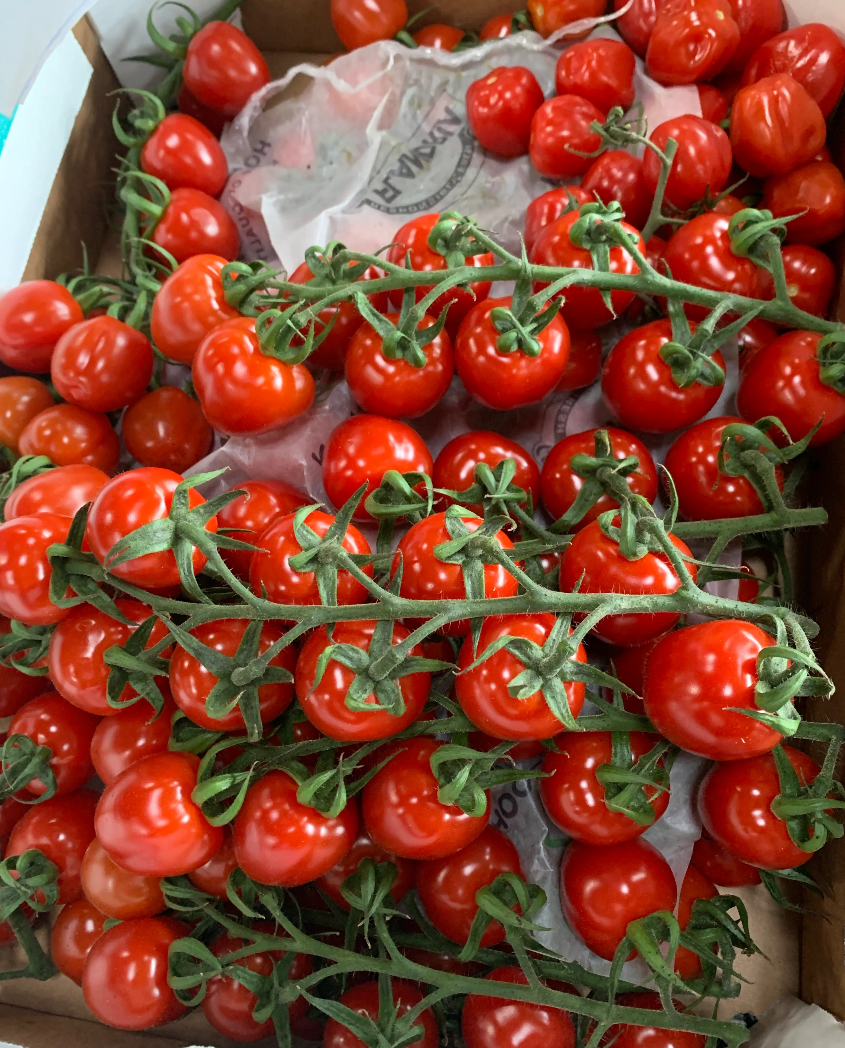 Roșii cherry cocktail ciorchine