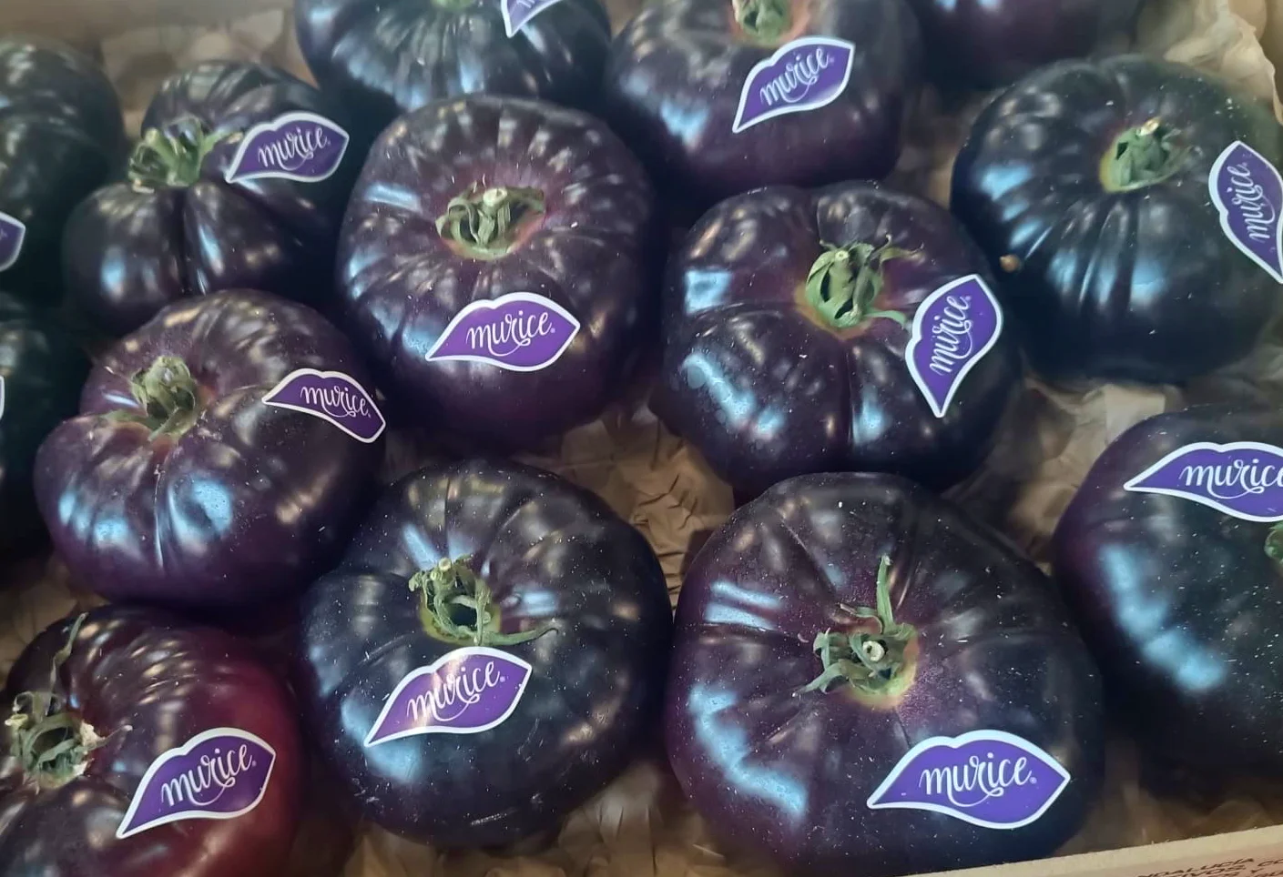 Roșii mov (antocianine)